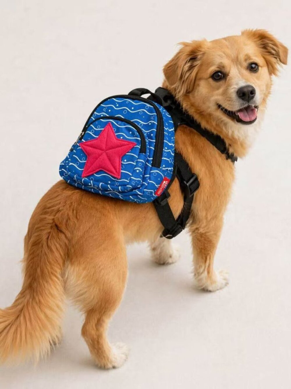 Pet Backpack Harness – New